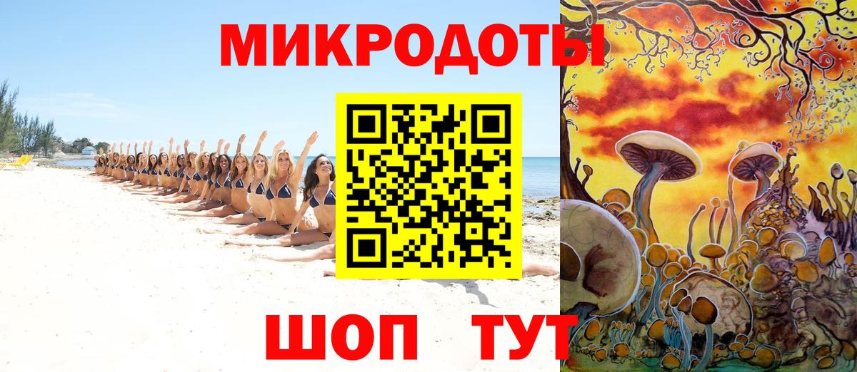 Псилоцибиновые грибы мицелий Озёрск