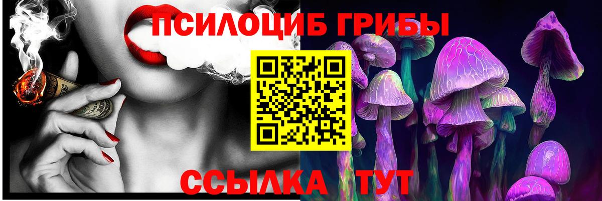 Озёрск  Псилоцибиновые грибы Magic Shrooms  Вход с VPN  Псилоцибиновые грибы ЛСД 